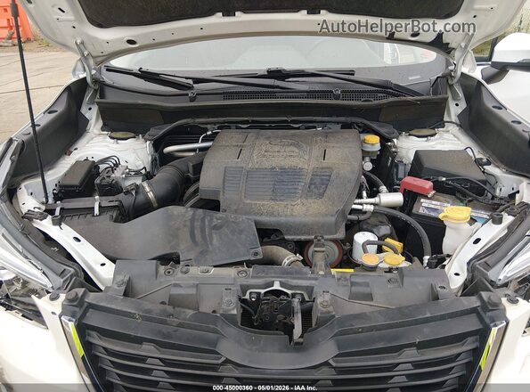 JF2SKAXC9LH541516 2020 SUBARU FORESTER Белый Вид сзади