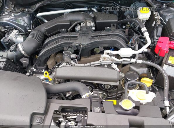JF2SLDDC2SH596004 2025 SUBARU FORESTER Blue Rear view