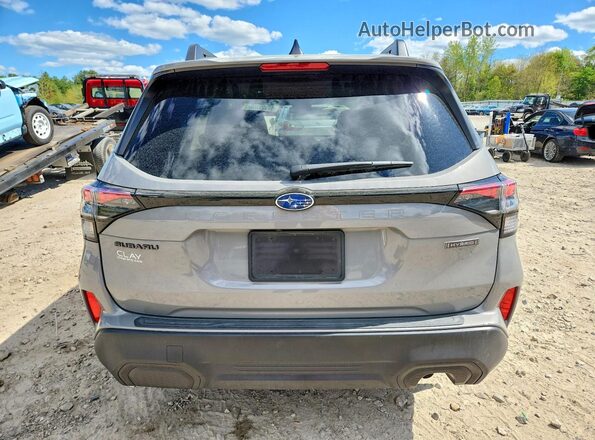 JF2SLSED4SH431356 2025 SUBARU FORESTER Gray Widok z tyłu
