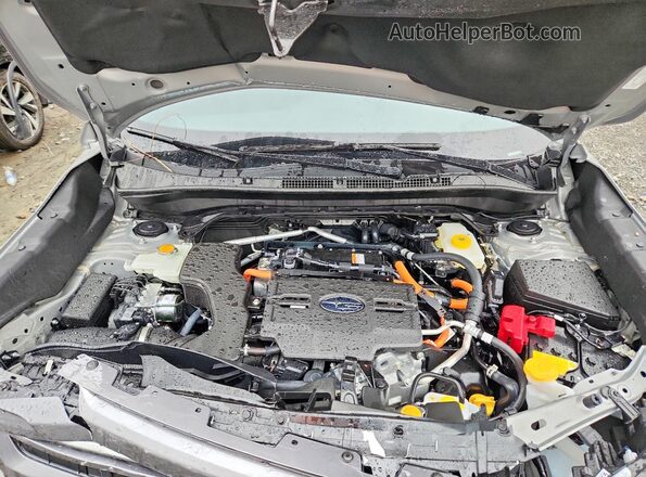 JF2SLSED6SH454136 2025 SUBARU FORESTER Серебряный Вид задней части салона