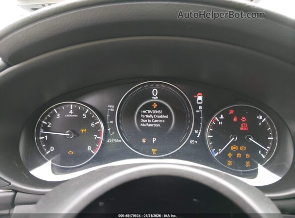 JM1BPALM5R1707644 2024 MAZDA 3 Gray Հետևի նստատեղերի տեսք
