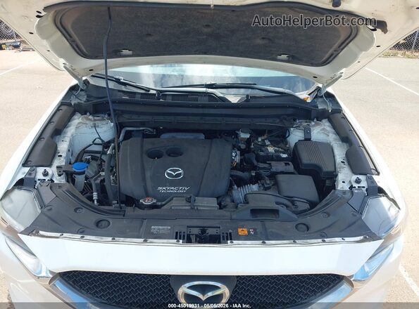 JM3KFABM5K1699014 2019 MAZDA CX-5 Белый Вид сзади