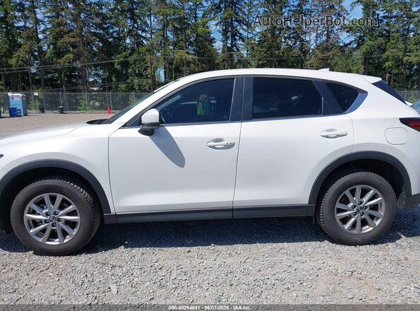 JM3KFBCM1P0113491 2023 MAZDA CX-5 Белый Панорамный вид салона 360°