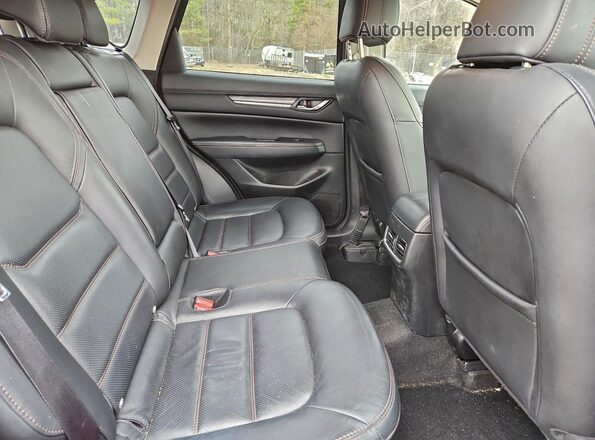 JM3KFBEM2P0188018 2023 MAZDA CX-5 Красный Вид задней части салона