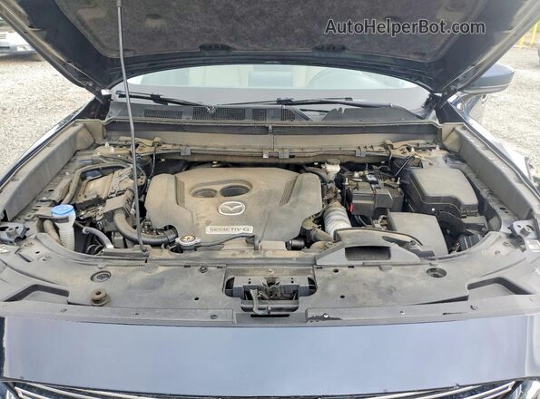 JM3TCACY2L0401024 2020 MAZDA CX-9 Синий Вид задней части салона