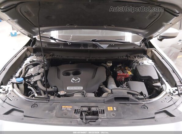 JM3TCACY5L0416570 2020 MAZDA CX-9 Silver Вид ззаду