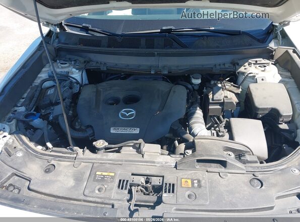 JM3TCBDYXK0301725 2019 MAZDA CX-9 Белый Вид сзади