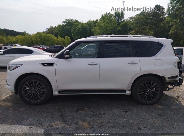 JN8AZ2AE8P9306552 2023 INFINITI QX80 White 