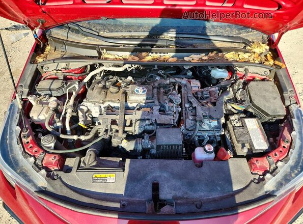 JTDBCMFE0RJ020198 2024 TOYOTA LL Красный Вид задней части салона