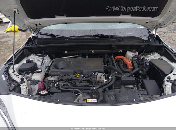 JTEAAAAH2MJ028616 2021 TOYOTA VENZA White Rear view