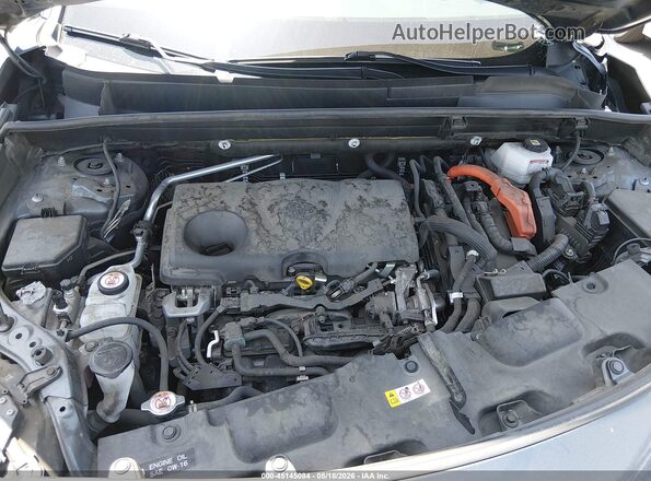 JTEAAAAH6MJ044804 2021 TOYOTA VENZA Gray Հետևի տեսք