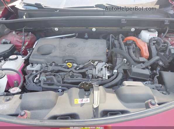 JTEAAAAH9MJ010159 2021 TOYOTA VENZA Red Вид ззаду