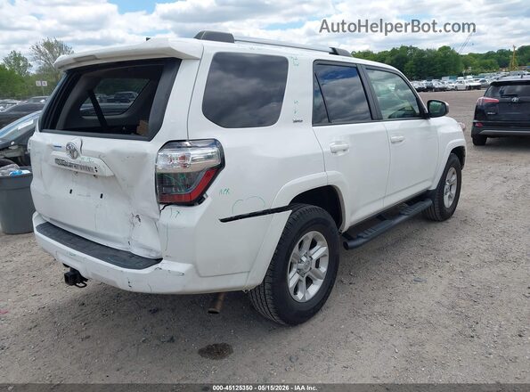 JTEEU5JR2P5281702 2023 TOYOTA 4RUNNER Белый Задняя правая четверть