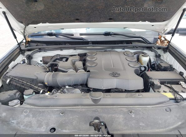JTEEU5JR2P5281702 2023 TOYOTA 4RUNNER Белый Вид сзади