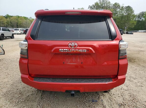 JTEMU5JR1M5886558 2021 TOYOTA 4RUNNER Red უკანა ხედი