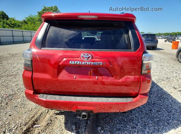 JTENU5JR2R6242573 2024 TOYOTA 4 Red 