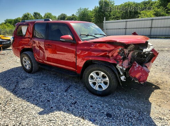 JTENU5JR2R6242573 2024 TOYOTA 4 Red 