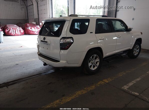 JTENU5JR7P6155166 2023 TOYOTA 4RUNNER White Tył prawy
