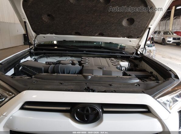 JTENU5JR7P6155166 2023 TOYOTA 4RUNNER White Widok z tyłu