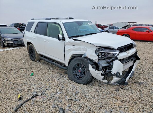JTENU5JRXR6259864 2024 TOYOTA 4RUNNER Белый Передняя правая четверть