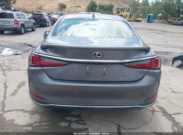 JTHB21B1XK2004366 2019 LEXUS ES 300H Серый 
