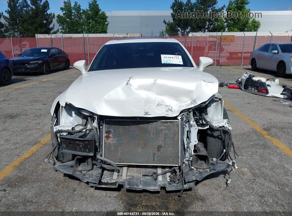 JTHBA1D25K5088037 2019 LEXUS IS 300 White Вид задньої частини салону