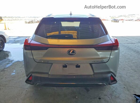 JTHE9JBH8M2041506 2021 LEXUS UX Silver Widok z tyłu
