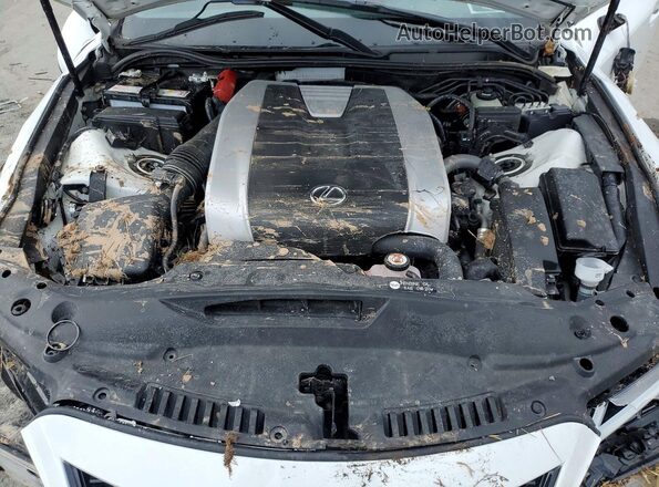 JTHGZ1E2XP5031188 2023 LEXUS IS White Widok wnętrza z tyłu