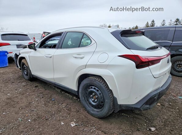JTHL9JBH0R2072375 2024 LEXUS UX White Հետևի ձախ