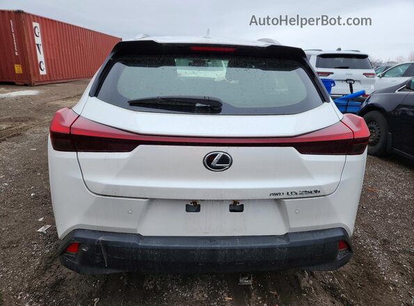 JTHL9JBH0R2072375 2024 LEXUS UX White Հետևի տեսք