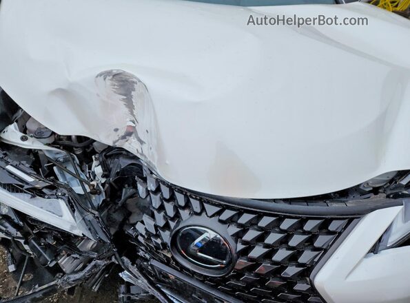JTHL9JBH0R2072375 2024 LEXUS UX White Սալոնի հետևի տեսք