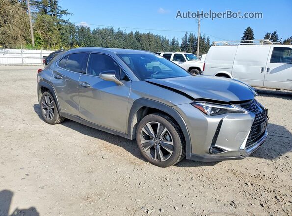 JTHL9JBH1L2023998 2020 LEXUS UX Серый 