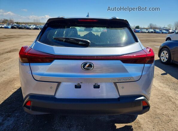 JTHL9JBHXR2077261 2024 LEXUS UX Silver უკანა ხედი