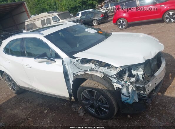 JTHP3JBH4N2049176 2022 LEXUS UX 200 White Widok wnętrza z tyłu