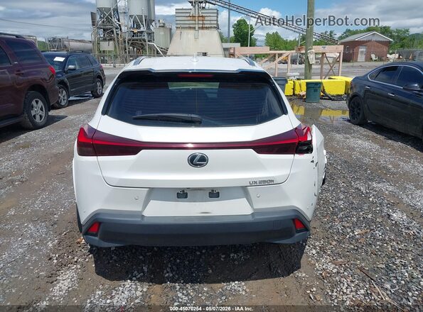 JTHP6JBH0P2146028 2023 LEXUS UX 250H White 
