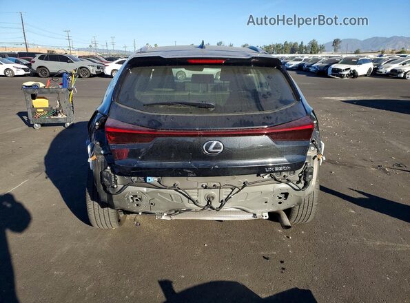 JTHP6JBH1R2184015 2024 LEXUS UX Charcoal Rear view