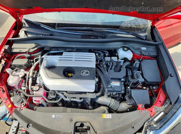 JTHP9JBH2R2072329 2024 LEXUS UX Red Շարժիչի բաժամունքի տեսք