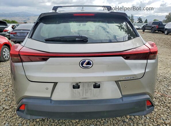 JTHP9JBH3L2023678 2020 LEXUS UX Gray უკანა ხედი