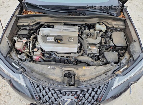 JTHP9JBH5M2048096 2021 LEXUS UX Black ძრავის განყოფილების ხედი