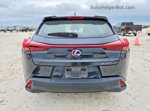 JTHP9JBH5M2048096 2021 LEXUS UX Black უკანა ხედი