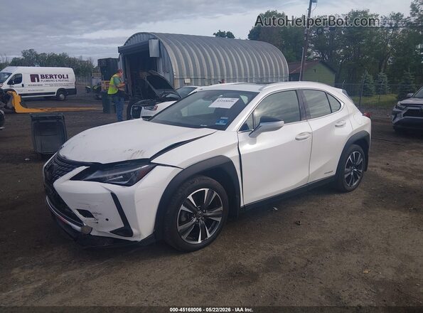 JTHP9JBH6L2035534 2020 LEXUS UX 250H White 
