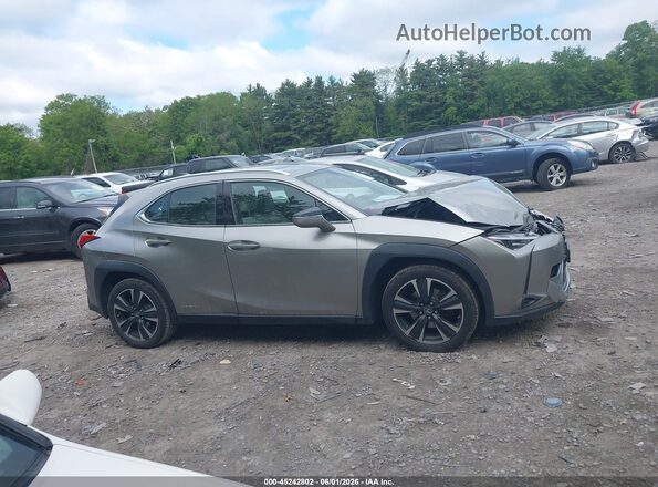 JTHP9JBH9L2035799 2020 LEXUS UX 250H Pewter უკანა სალონის ხედი
