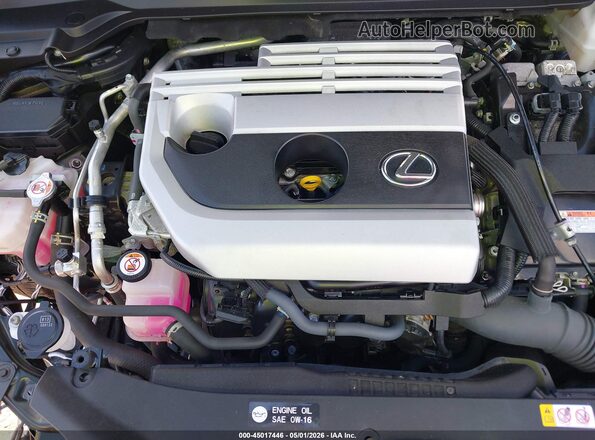 JTHP9JBH9P2066136 2023 LEXUS UX 250H Black Հետևի տեսք