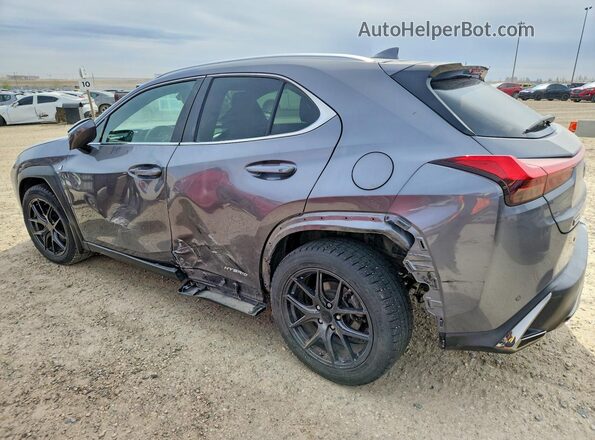 JTHR9JBH9L2022432 2020 LEXUS UX Silver Задня ліва чверть