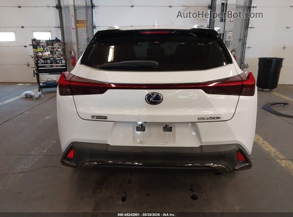 JTHU9JBH9K2009706 2019 LEXUS UX 250H White 