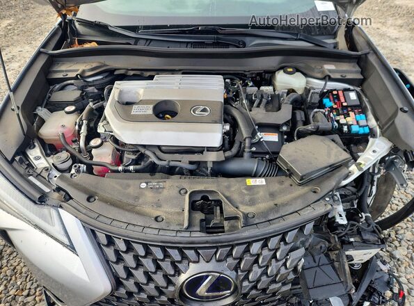 JTHU9JBHXK2014221 2019 LEXUS UX Silver Սալոնի հետևի տեսք