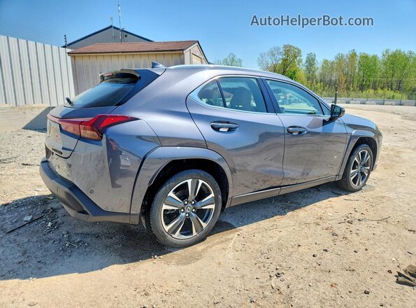 JTHUCJDH0S2011309 2025 LEXUS UX Gray Trasero derecho