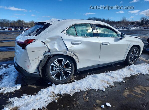 JTHUCJDH4S2007084 2025 LEXUS UX White უკანა მარჯვენა