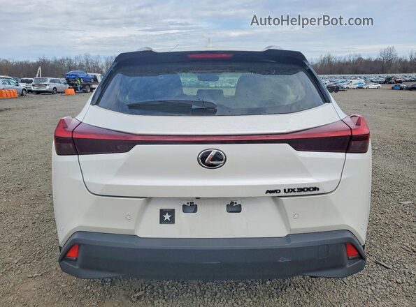 JTHUCJDH5S2006199 2025 LEXUS UX White Widok z tyłu