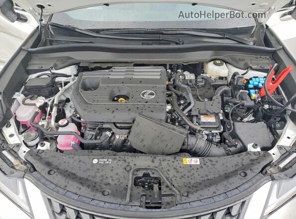 JTHUCJDH5S2006199 2025 LEXUS UX White Widok komory silnika